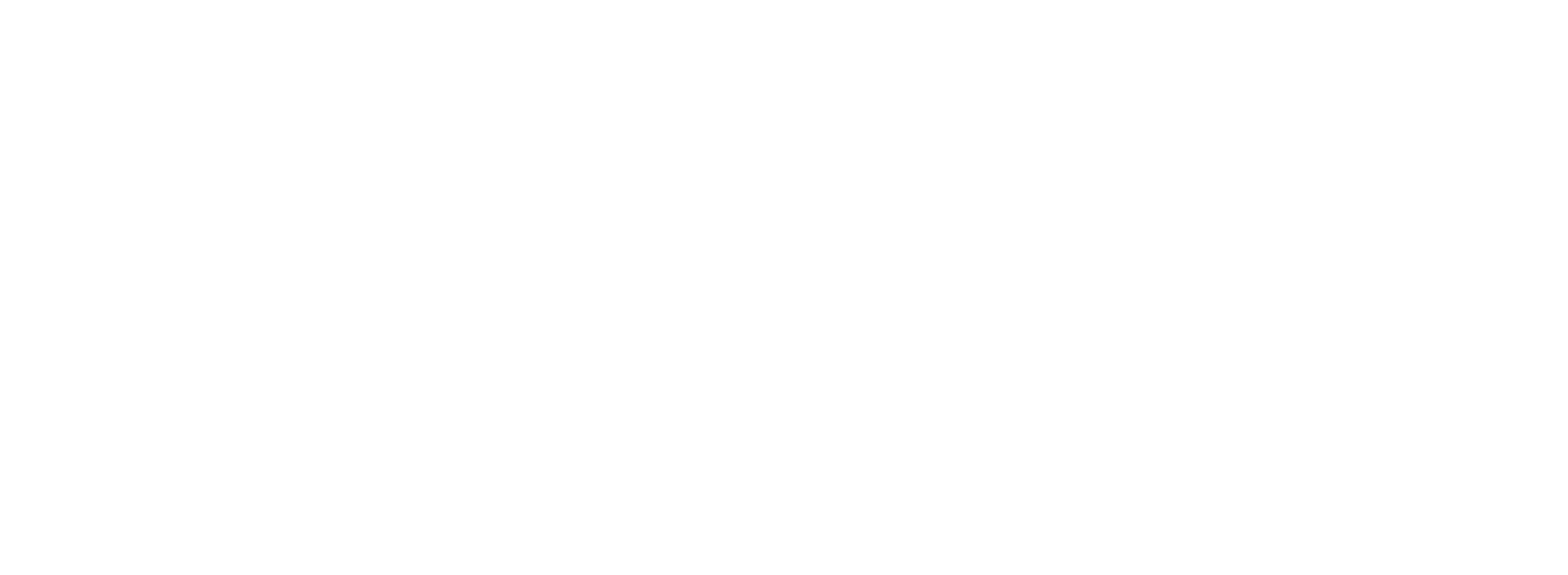 KENNA Professional